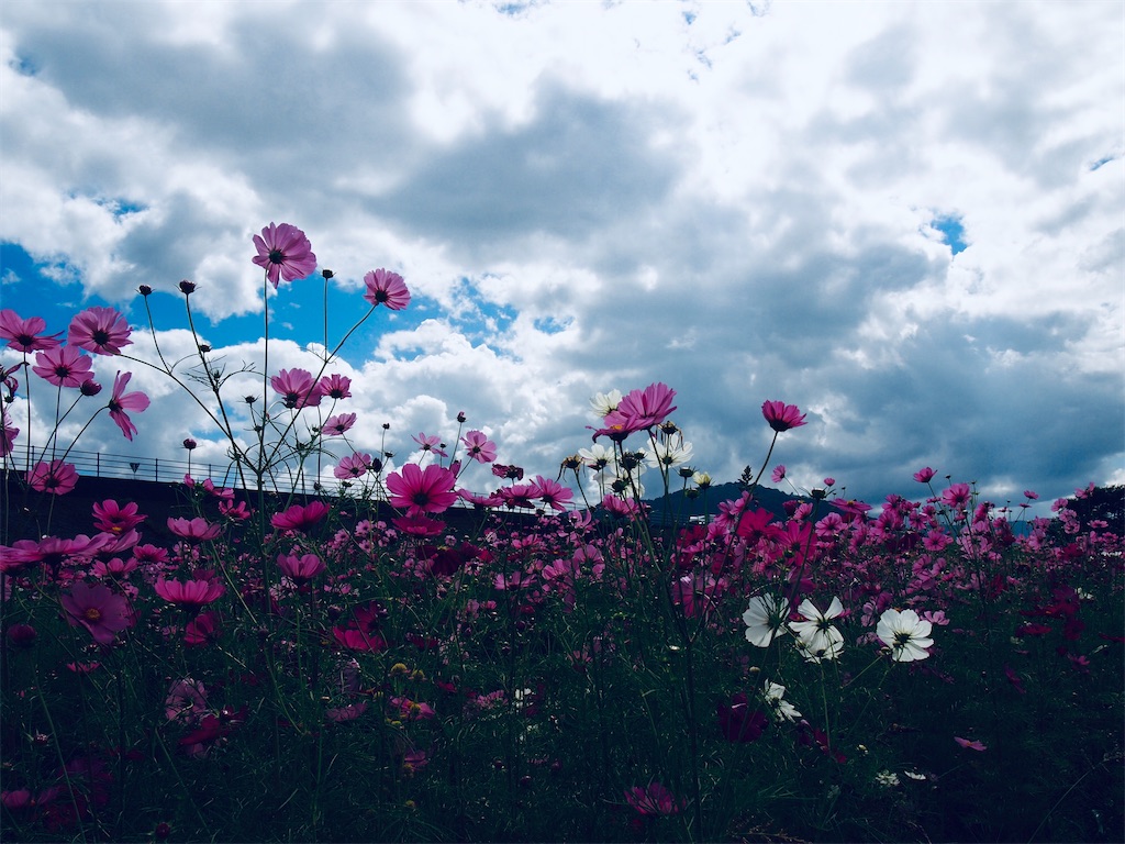 f:id:hiro0706chang:20211026195149j:image