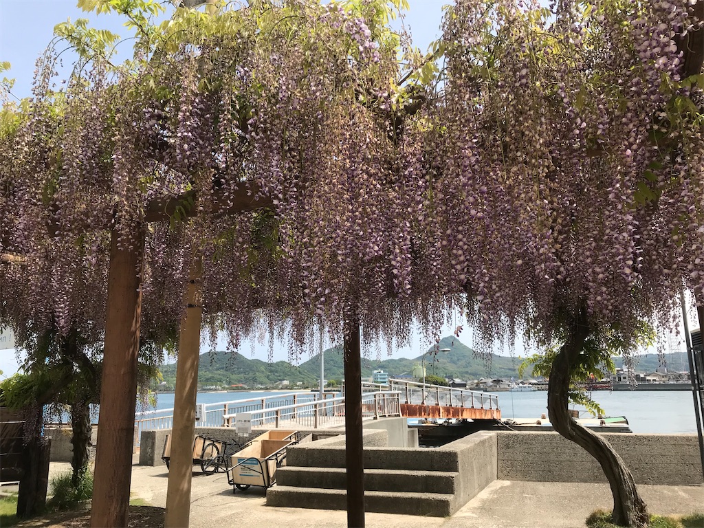 f:id:hiro0706chang:20220506210122j:image