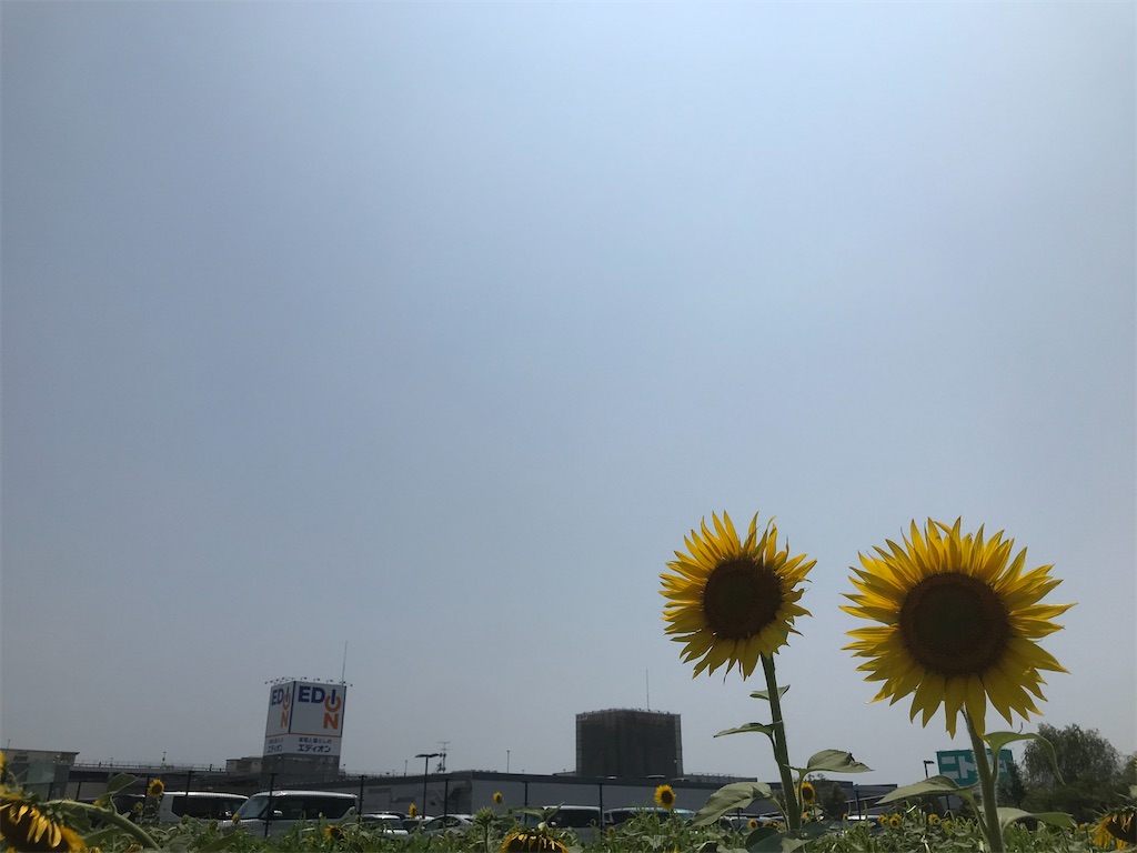 f:id:hiro0706chang:20220729211447j:image