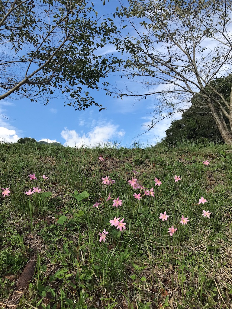 f:id:hiro0706chang:20220925193448j:image