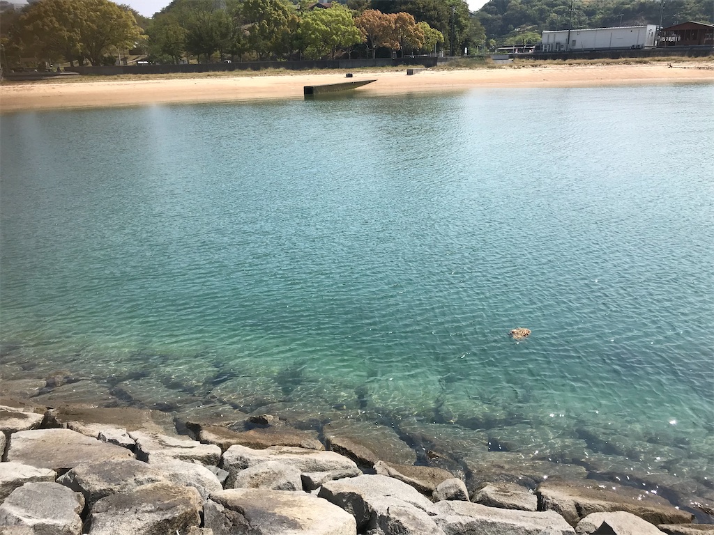 f:id:hiro0706chang:20221025185924j:image