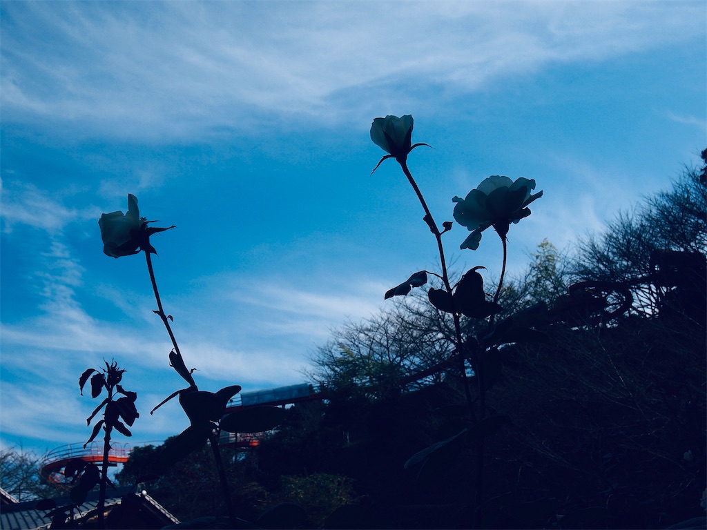 f:id:hiro0706chang:20221030195031j:image
