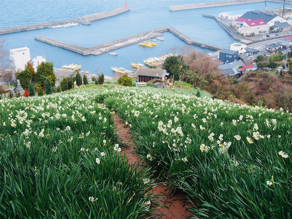 f:id:hiro0706chang:20221031201116j:image