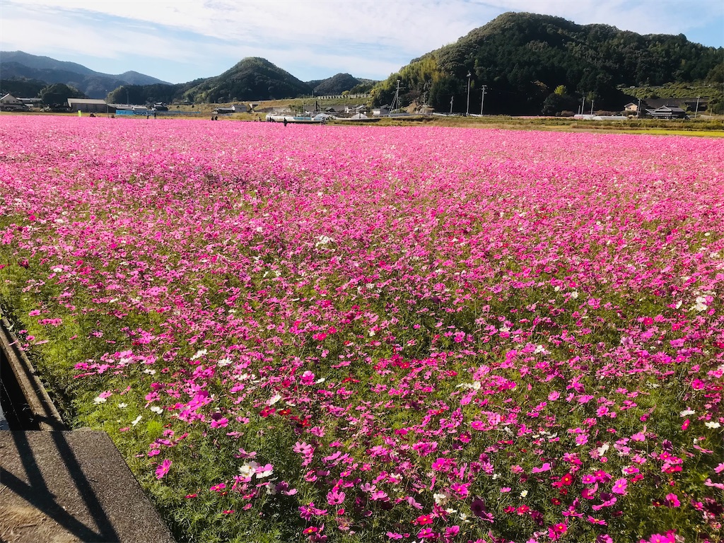 f:id:hiro0706chang:20221106163708j:image f:id:hiro0706chang:20221106163708j:image