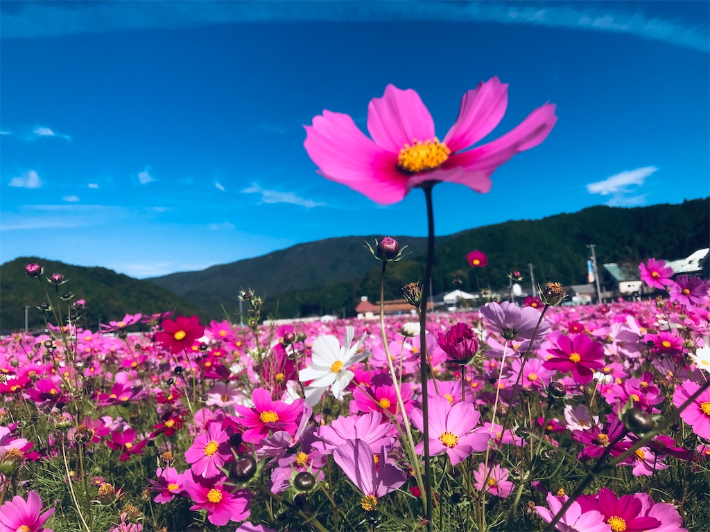 f:id:hiro0706chang:20221106163715j:image f:id:hiro0706chang:20221106163715j:image