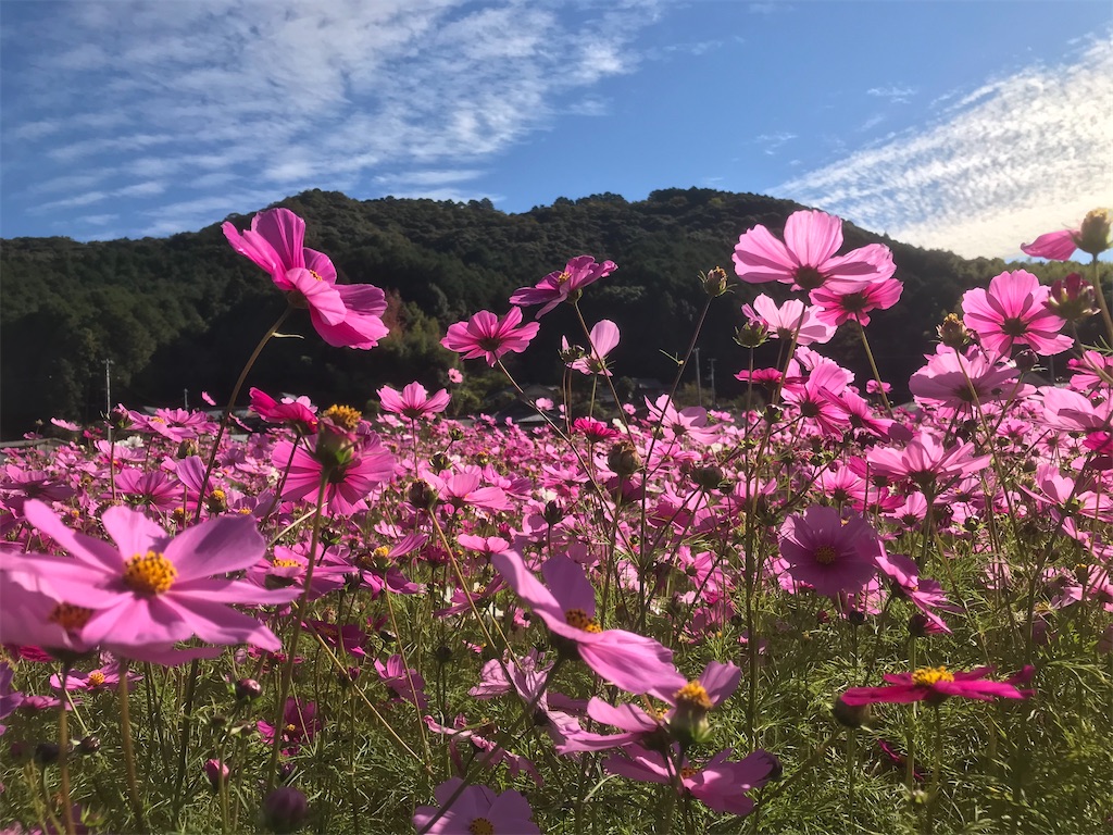 f:id:hiro0706chang:20221106163727j:image f:id:hiro0706chang:20221106163727j:image