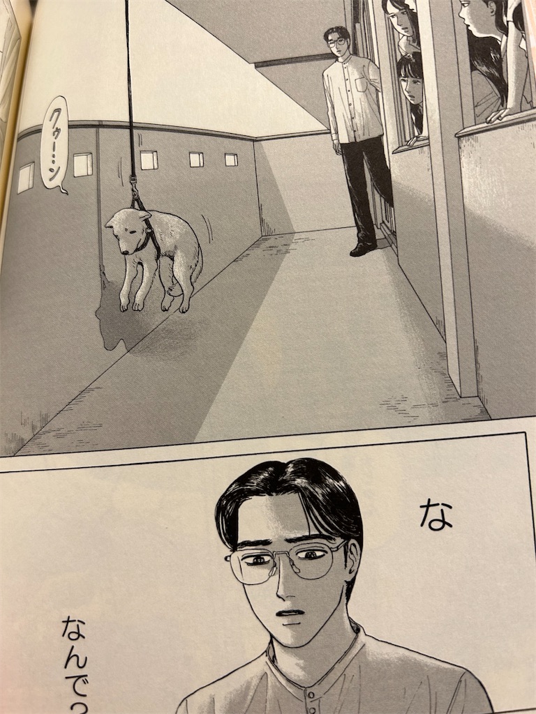 f:id:hiro0706chang:20230210211325j:image