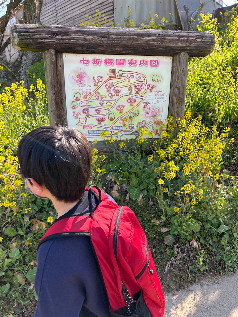 f:id:hiro0706chang:20230305153448j:image