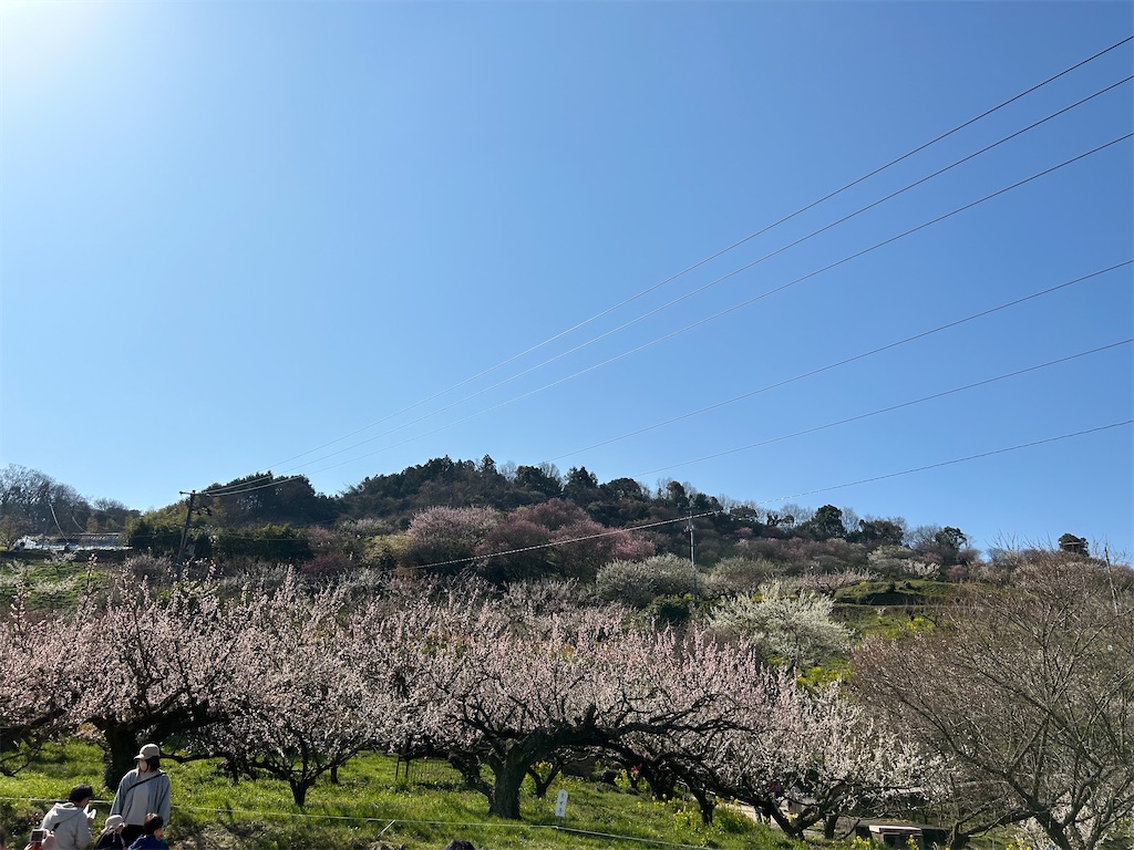 f:id:hiro0706chang:20230305153454j:image