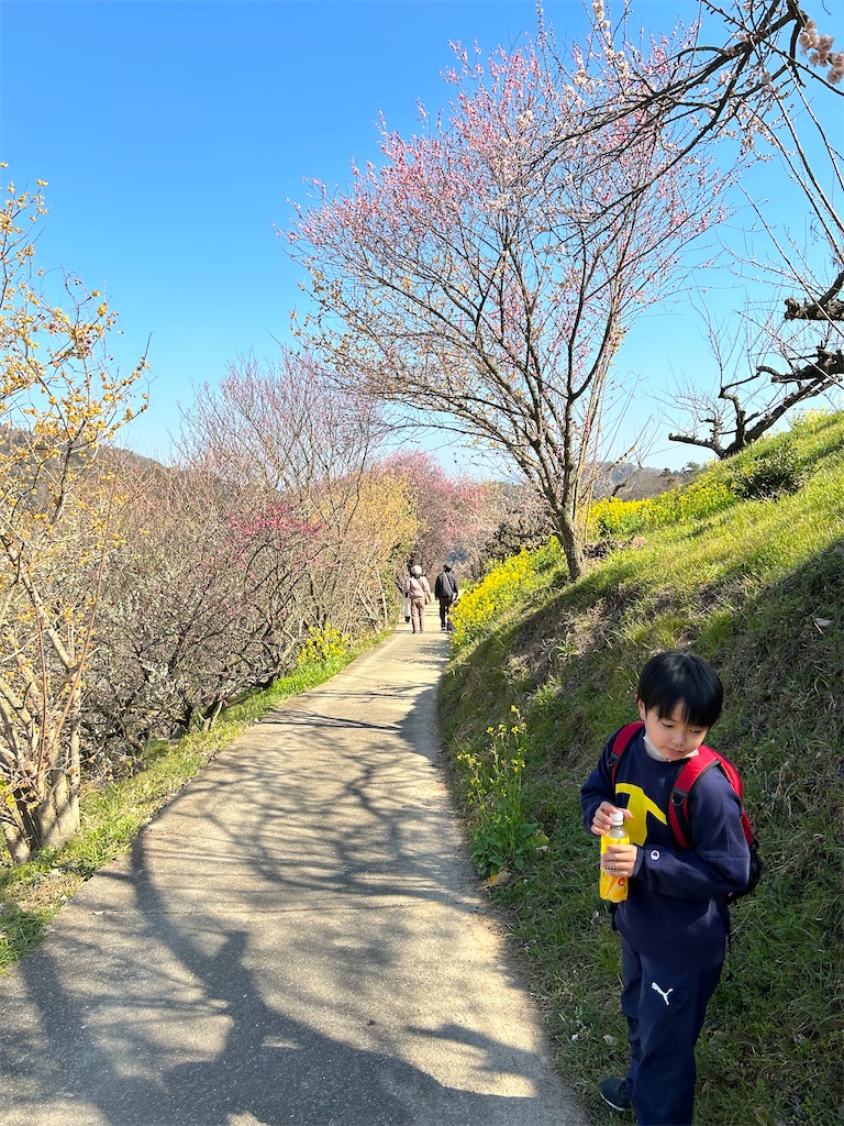 f:id:hiro0706chang:20230305153501j:image