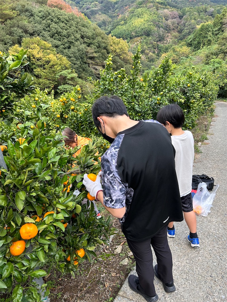 f:id:hiro0706chang:20231112200619j:image