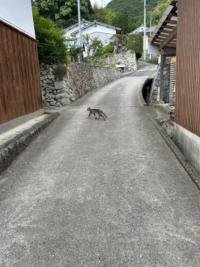 f:id:hiro0706chang:20240818195418j:image