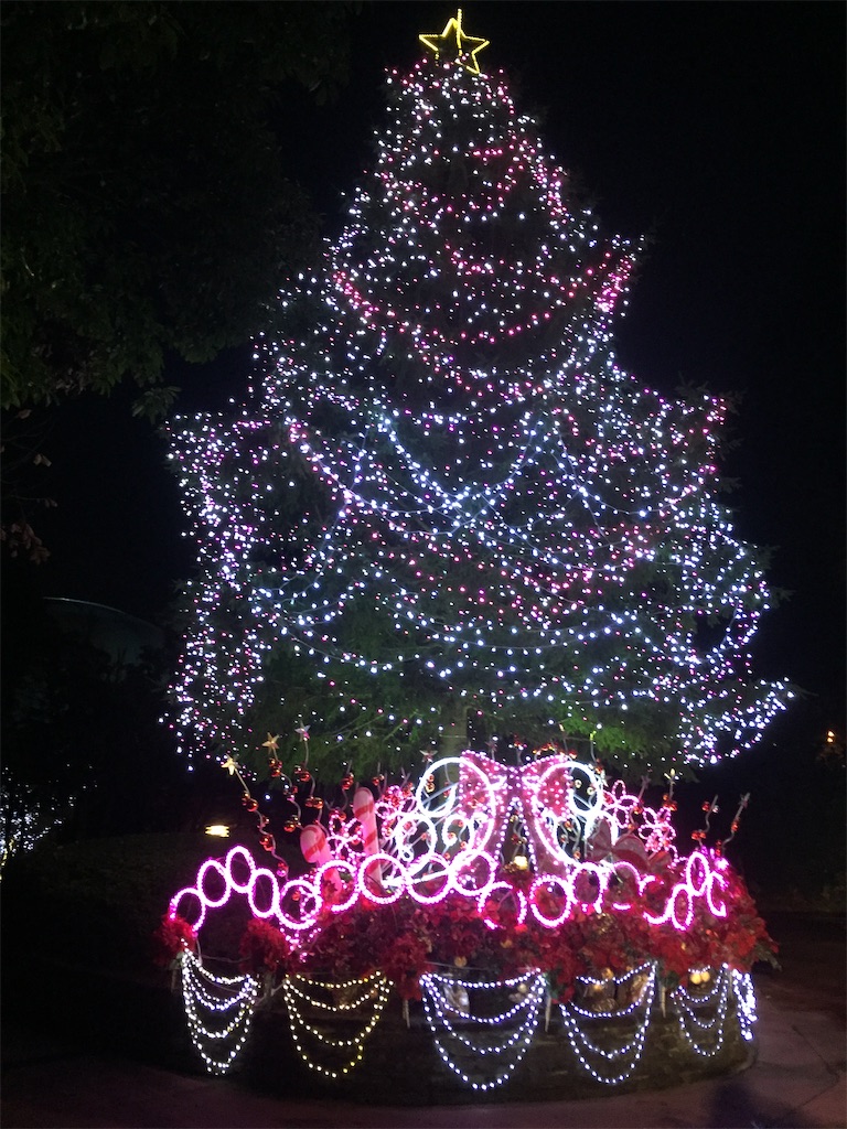 f:id:hiro0706chang:20250206204747j:image