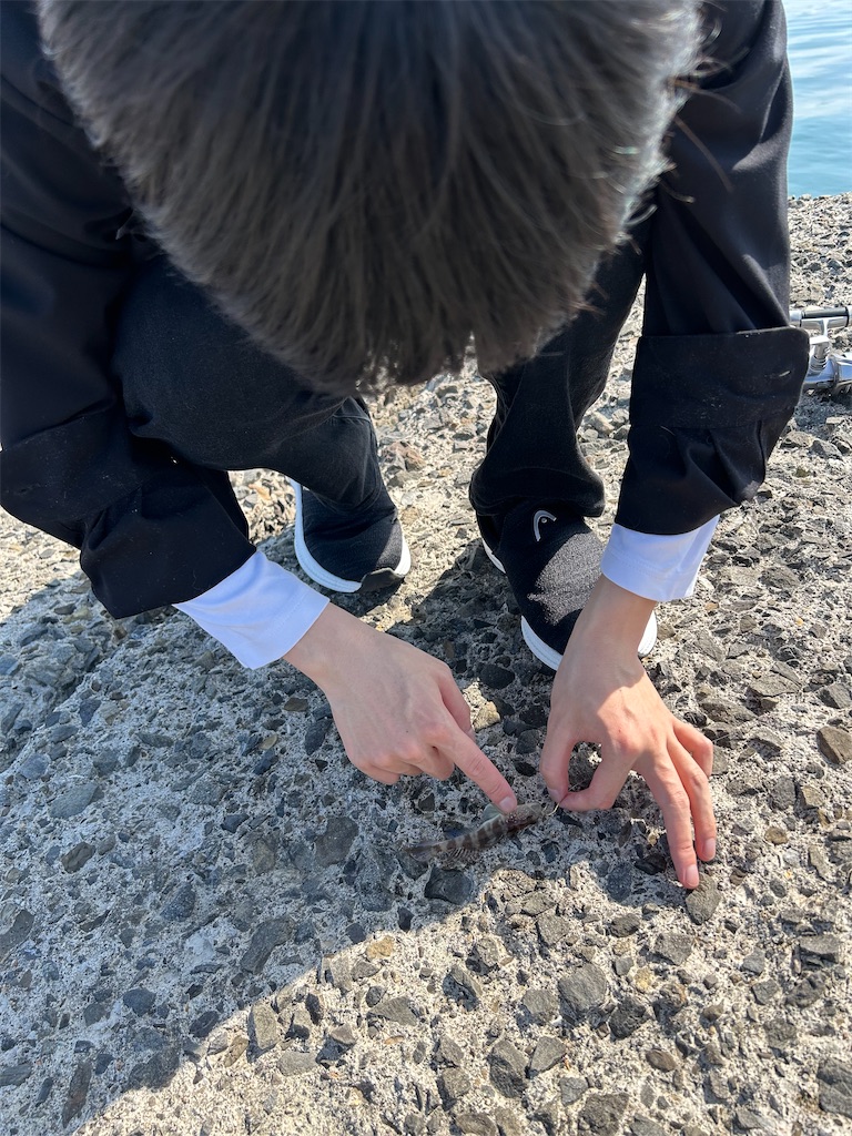 f:id:hiro0706chang:20250509202729j:image