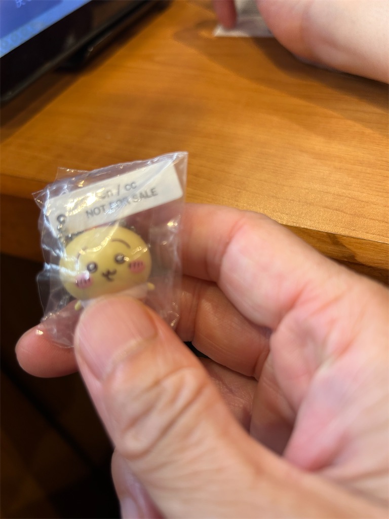 f:id:hiro0706chang:20250726213153j:image