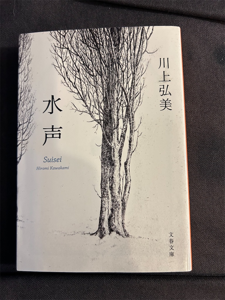 f:id:hiro0706chang:20251125172400j:image