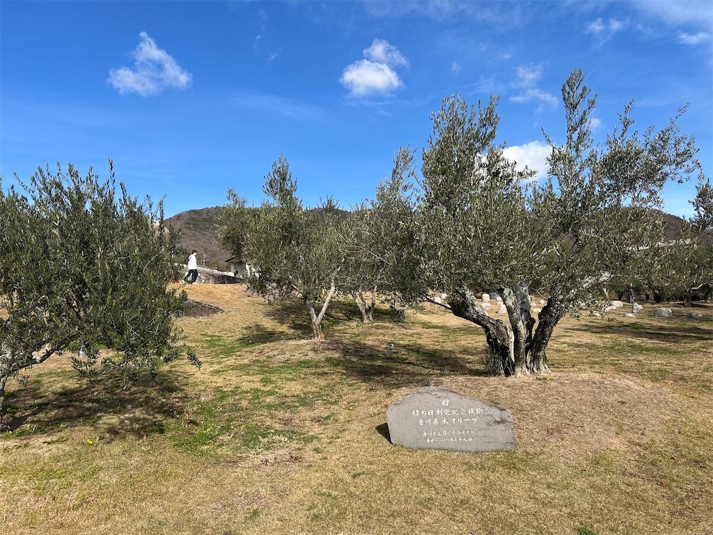 f:id:hiro0706chang:20260105184615j:image f:id:hiro0706chang:20260105184615j:image