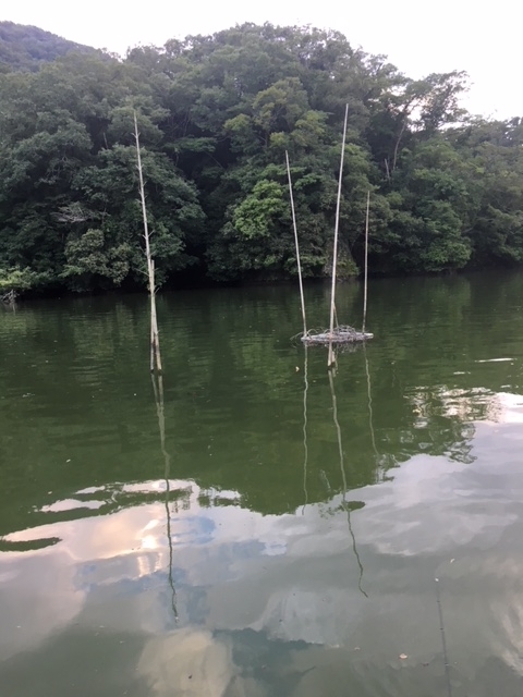 f:id:hiro10525:20180814124731j:plain