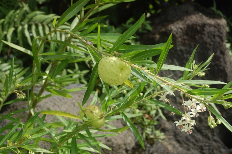 f:id:hiro1216:20130807163845j:image f:id:hiro1216:20130807163845j:image