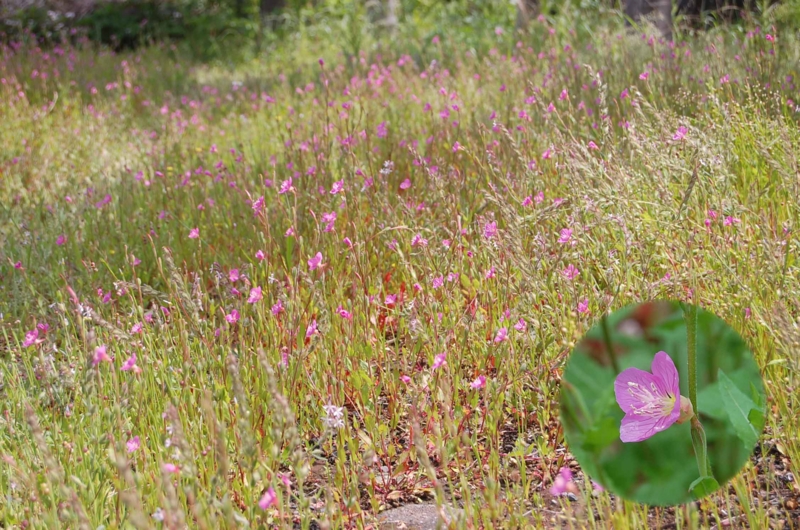 f:id:hiro1216:20130813203934j:image f:id:hiro1216:20130813203934j:image