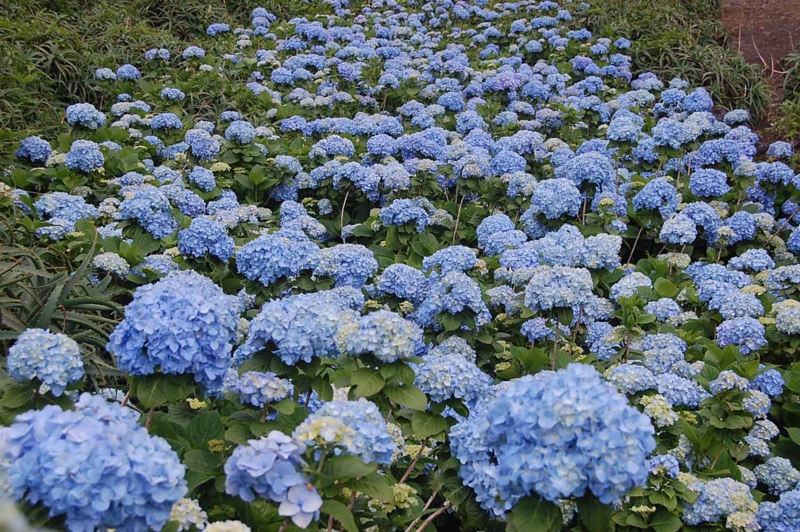 f:id:hiro1216:20130916182427j:image f:id:hiro1216:20130916182427j:image