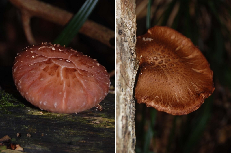 f:id:hiro1216:20131005093754j:image