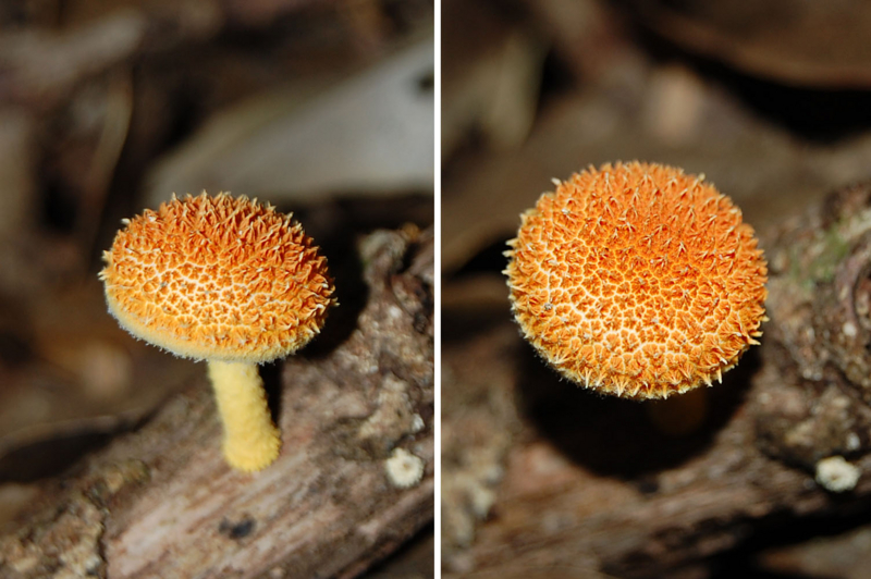 f:id:hiro1216:20131012195319j:image