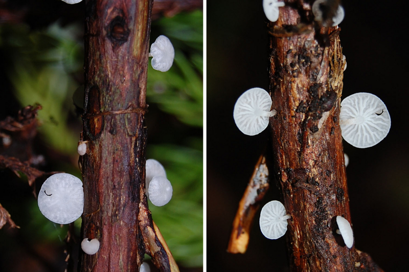 f:id:hiro1216:20131020134930j:image