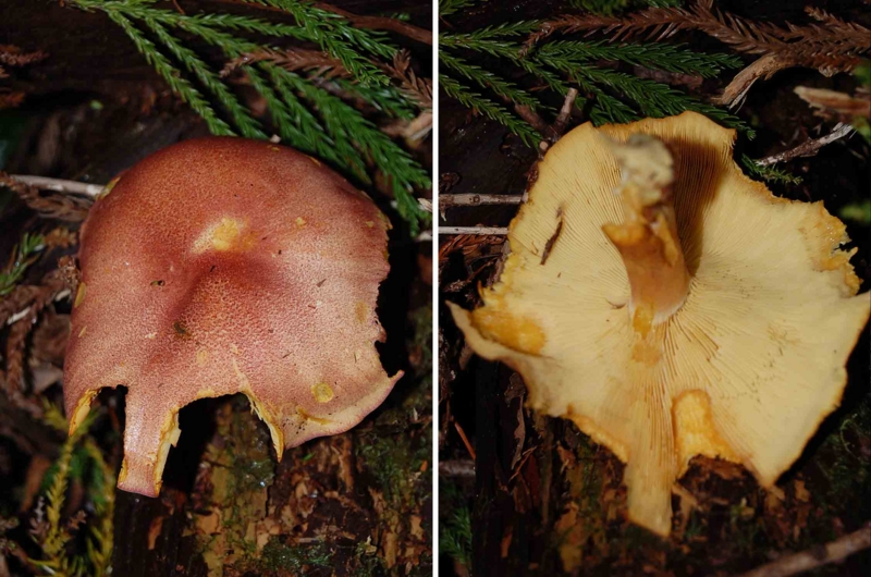 f:id:hiro1216:20131128215237j:image