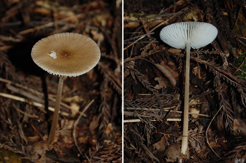 f:id:hiro1216:20141001094039j:image