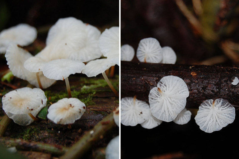 f:id:hiro1216:20141001094252j:image