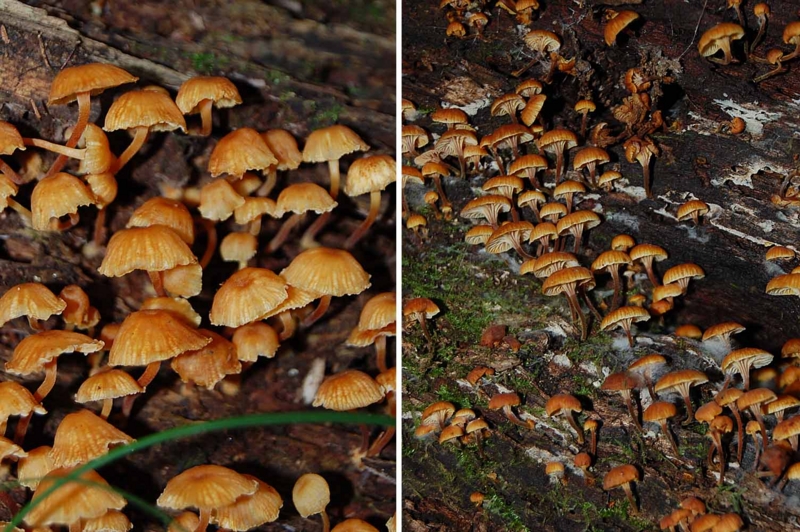 f:id:hiro1216:20141002083701j:image