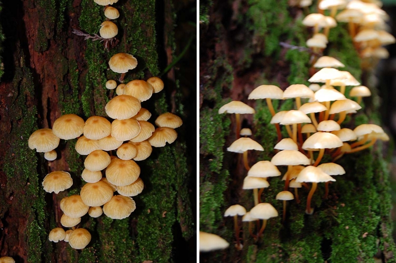 f:id:hiro1216:20141002083738j:image