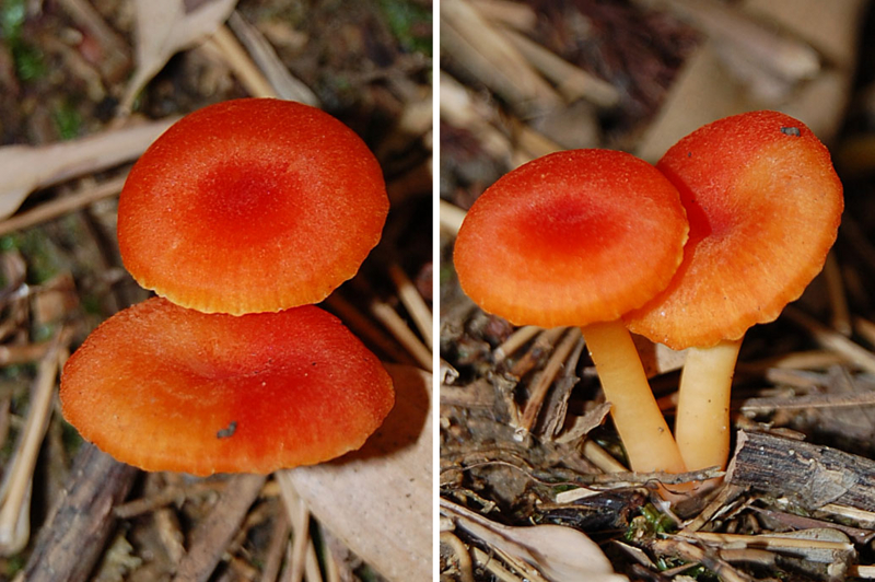 f:id:hiro1216:20150725145145j:image