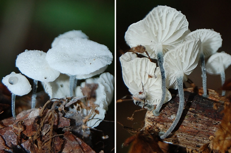 f:id:hiro1216:20150725155934j:image