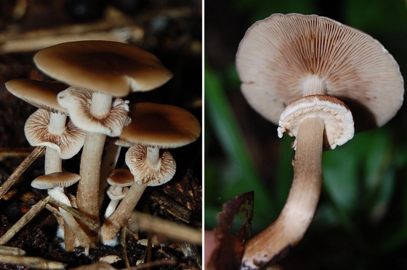 f:id:hiro1216:20150725180509j:image