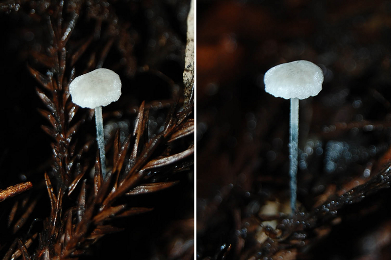 f:id:hiro1216:20150725192430j:image