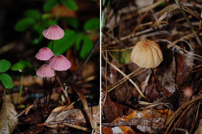 f:id:hiro1216:20150725210310j:image