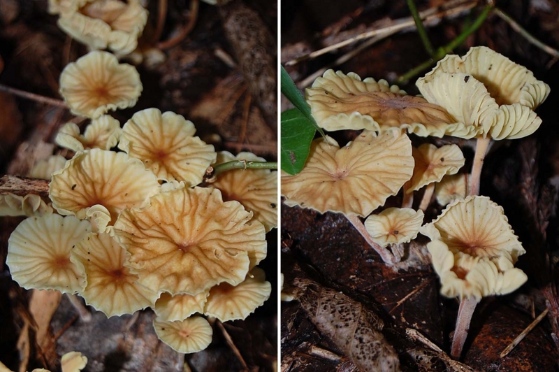 f:id:hiro1216:20150726073042j:image