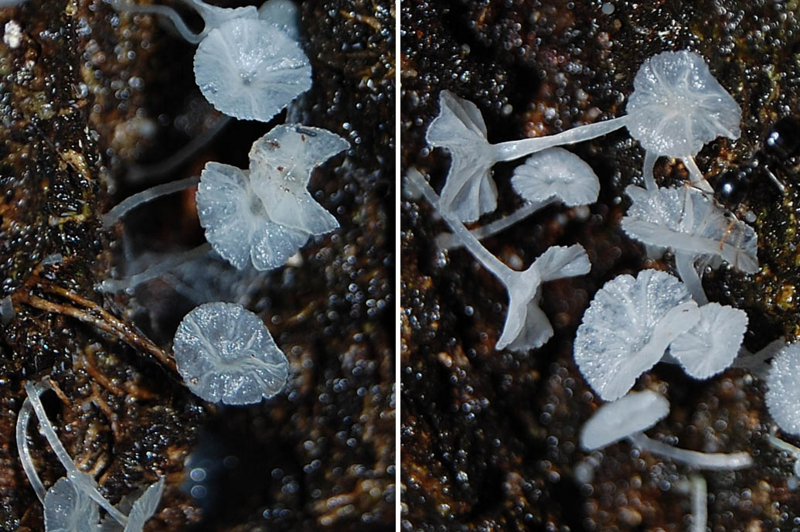 f:id:hiro1216:20150726111934j:image