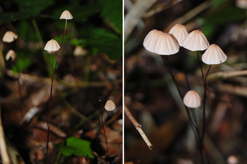 f:id:hiro1216:20150726175926j:image