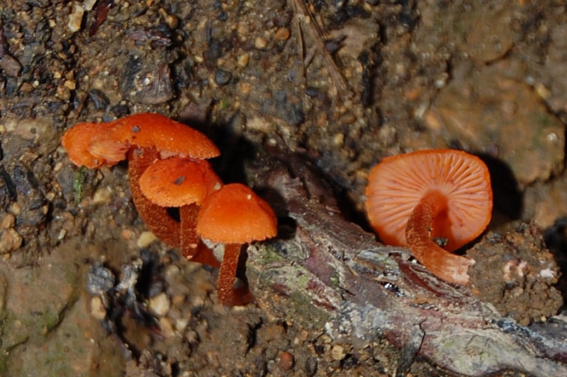 f:id:hiro1216:20150906213642j:image