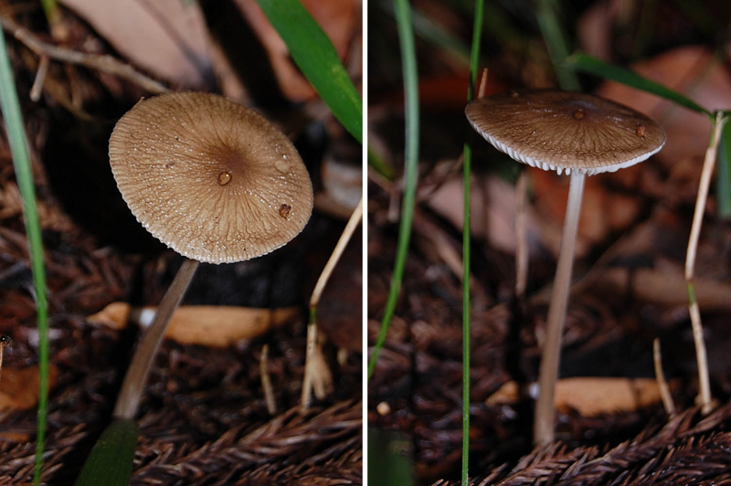 f:id:hiro1216:20150910215322j:image