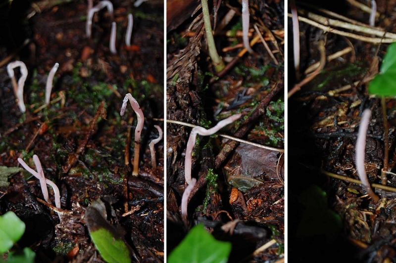 f:id:hiro1216:20150915144239j:image