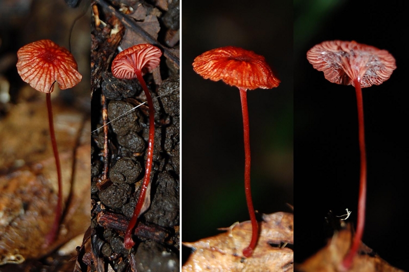 f:id:hiro1216:20150916112502j:image