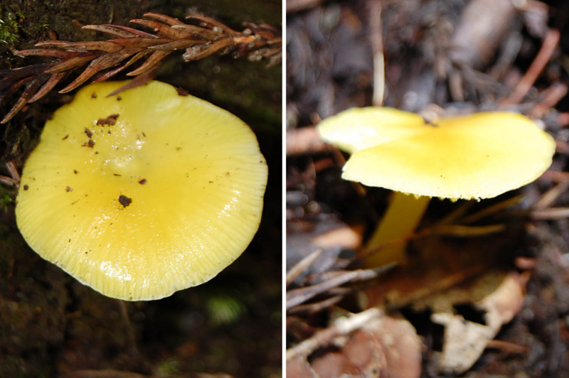 f:id:hiro1216:20150920164026j:image