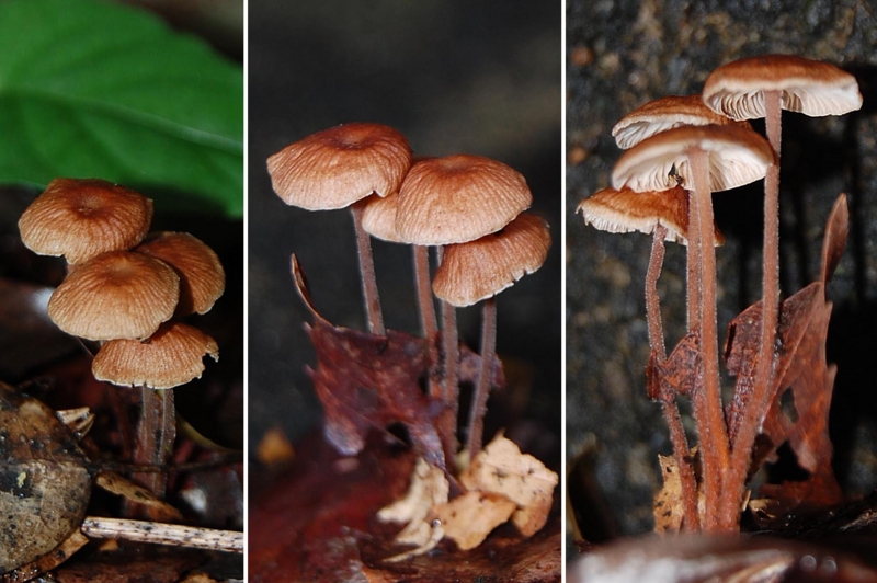 f:id:hiro1216:20160503093046j:image