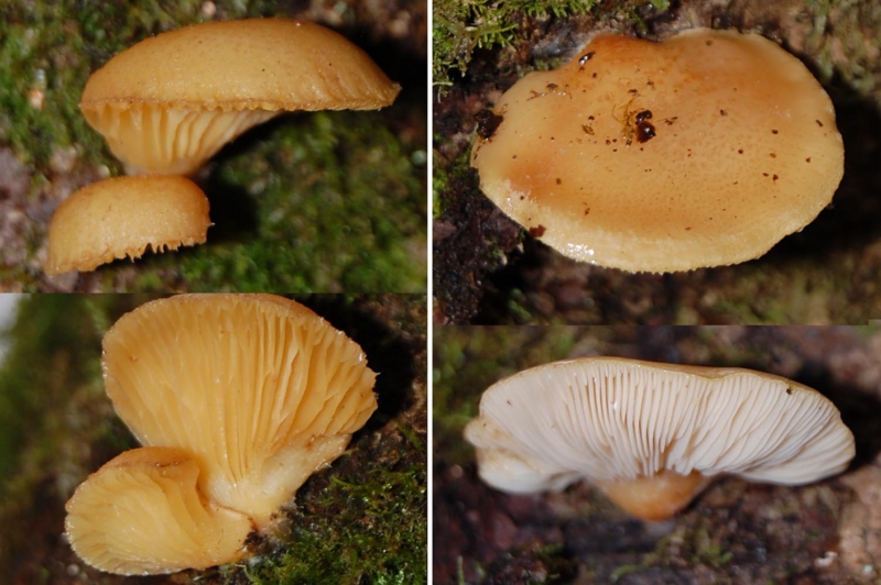 f:id:hiro1216:20160503101047j:image