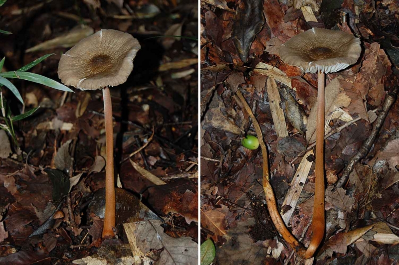 f:id:hiro1216:20160503130056j:image