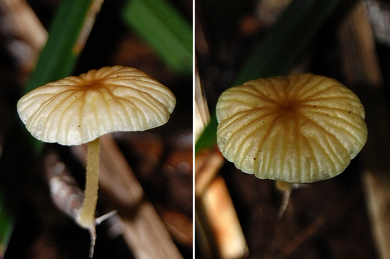 f:id:hiro1216:20160503164836j:image